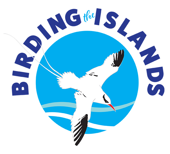 BIRDING THE ISLANDS logo 21cm x 21cm BIRDING THE ISLANDS logo 21cm x 21cm