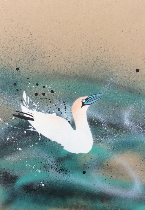 Northern Gannet 1 on brown paper