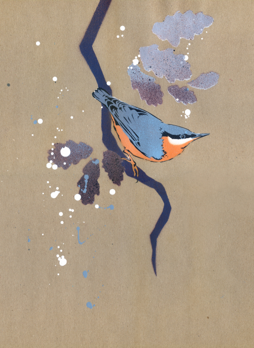 Nuthatch on brown paper
