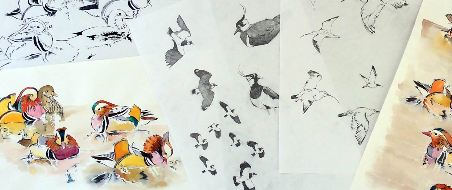 sketches